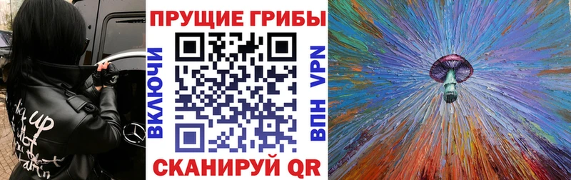 Псилоцибиновые грибы ЛСД Моршанск